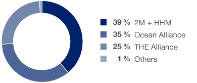 Capacity Breakdown by Shipping Line Alliances (pie chart)